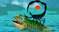 scorpionfrog.jpg