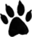 Waggy/images/untitled-1.png