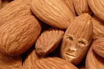 pics/almond.jpg