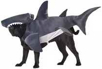pics/doggo shark.jpg