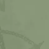 assets/1/1085.jpg