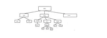 arbol.png