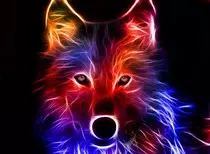 cool-pictures-3.jpg