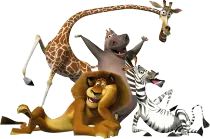 shake.png