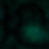 bgreen2.gif