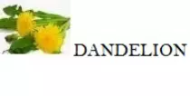 dan.gif
