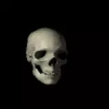 1.gif