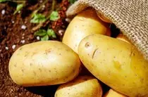 Images/potatoes-1585060_960_720.jpg.210x158.jpg