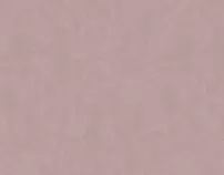 images/001.png