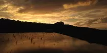 images/pic03.jpg