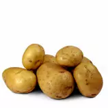 pots.jpg
