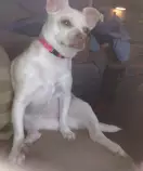 hugj.jpg