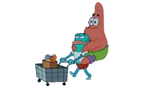 giphy.gif