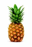 Images/pineapple.jpg