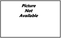 kingJin_app/yoyoiE.gif
