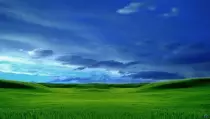 images/paisaje-verde.jpg