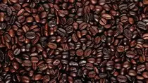 coffee_beans_food_surface_91913_1920x1080.jpg