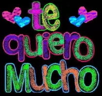 Galeria/Imagenes/t.k.m .jpg