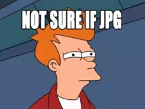 image1.gif