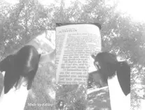 brokenbelovedbackground2.jpg