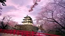 Images/landscape10.jpeg