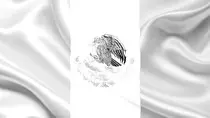 mexflagbg.jpg