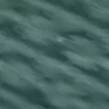 back1.gif