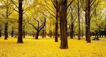 imagenes/6.jpg